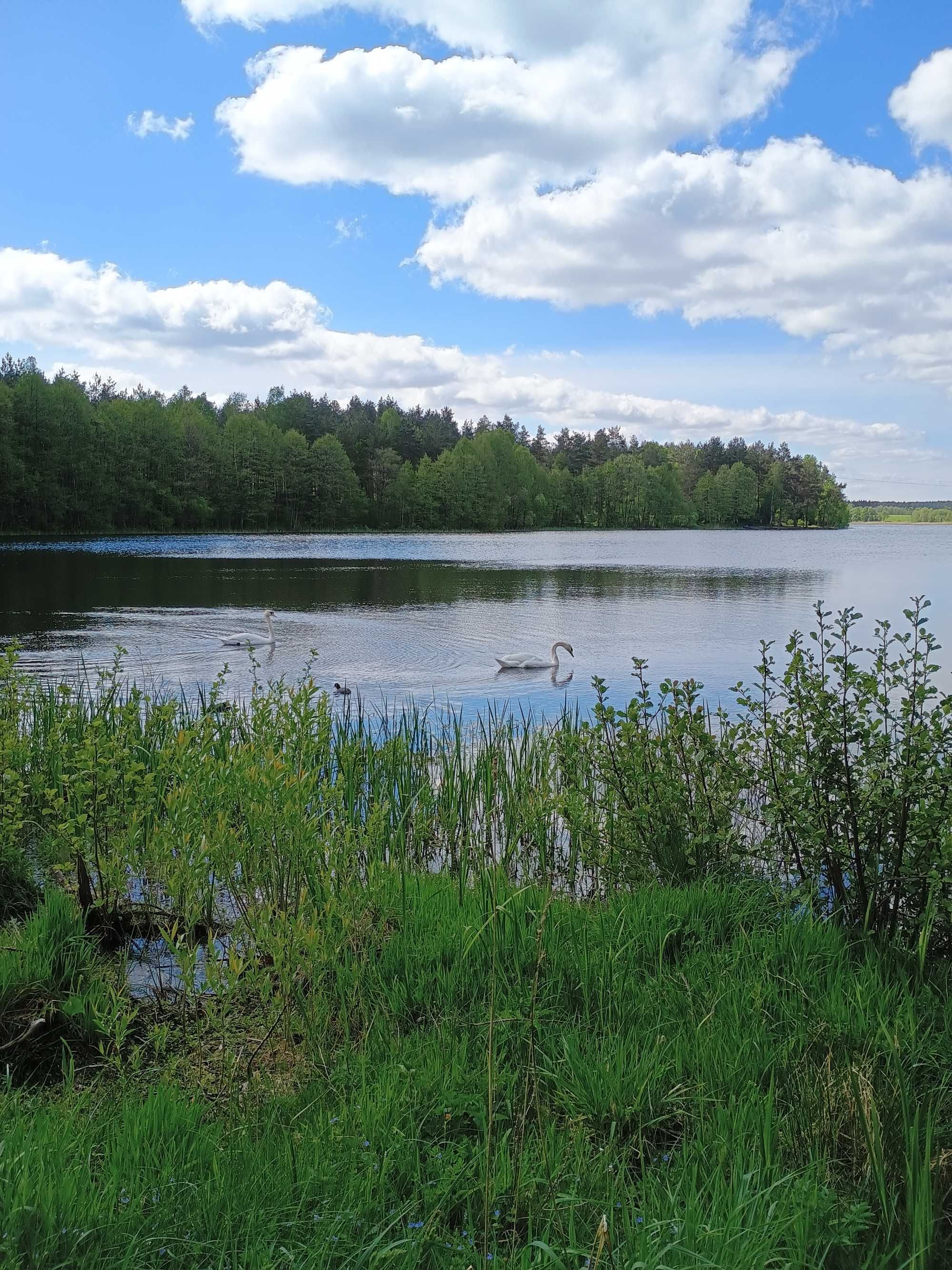 Domek Letniskowy na Kaszubach