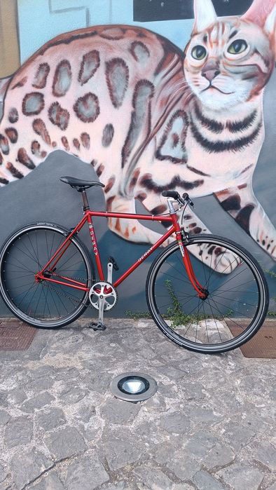 Bicicleta single speed