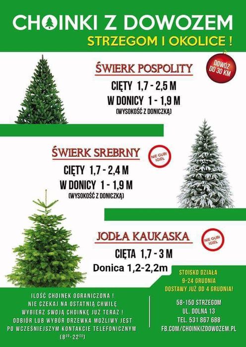 Choinki z dowozem jodła kaukaska świerk srebrny pospolity donica