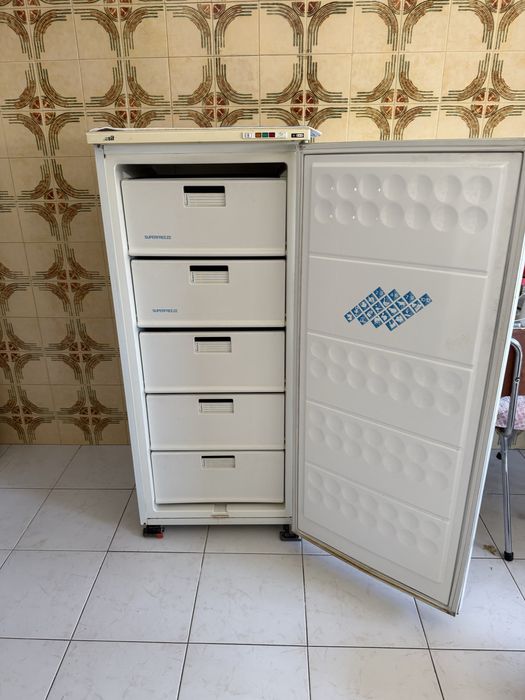 Arca congeladora Indesit