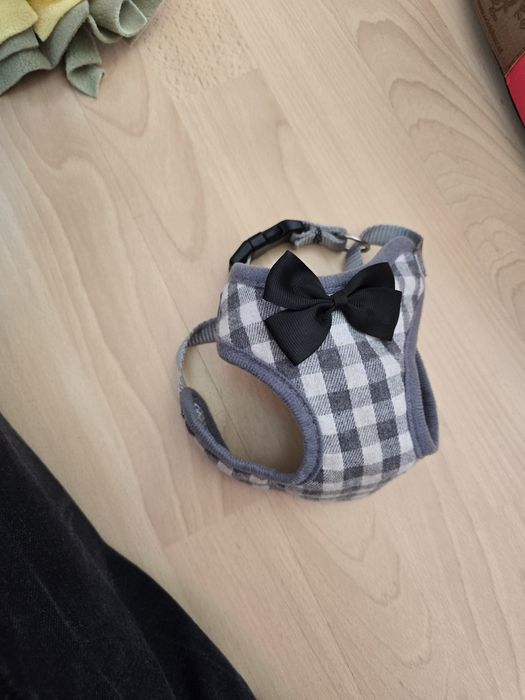 Buda mata szelki dla psa , maltańczyk naltipoo  shih tzu