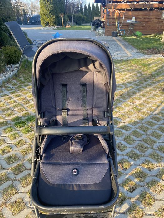 Spacerowka cavoe axo shine