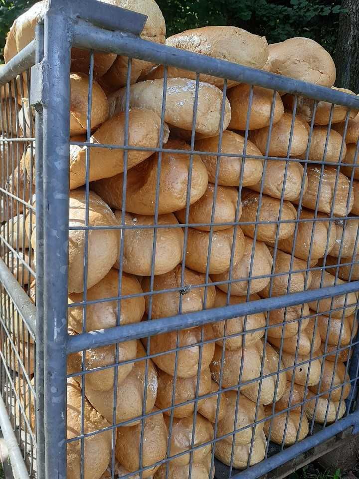 Chleb paszowy worowany lub w paletach