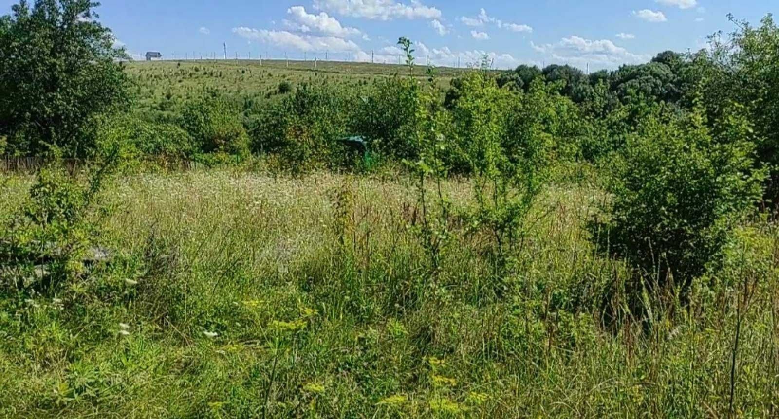 Продаж земельної ділянки Лісовогринівецька сільська рада, 10 соток