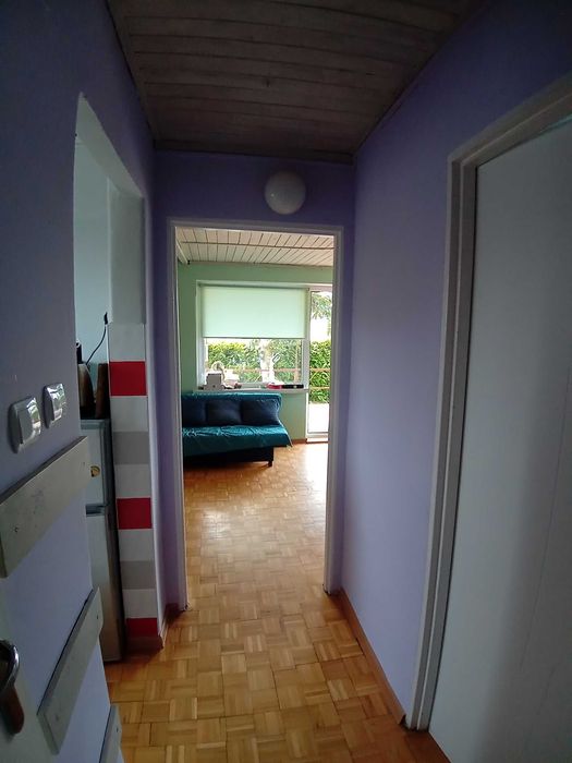 Działka ROD w Bozenkowie