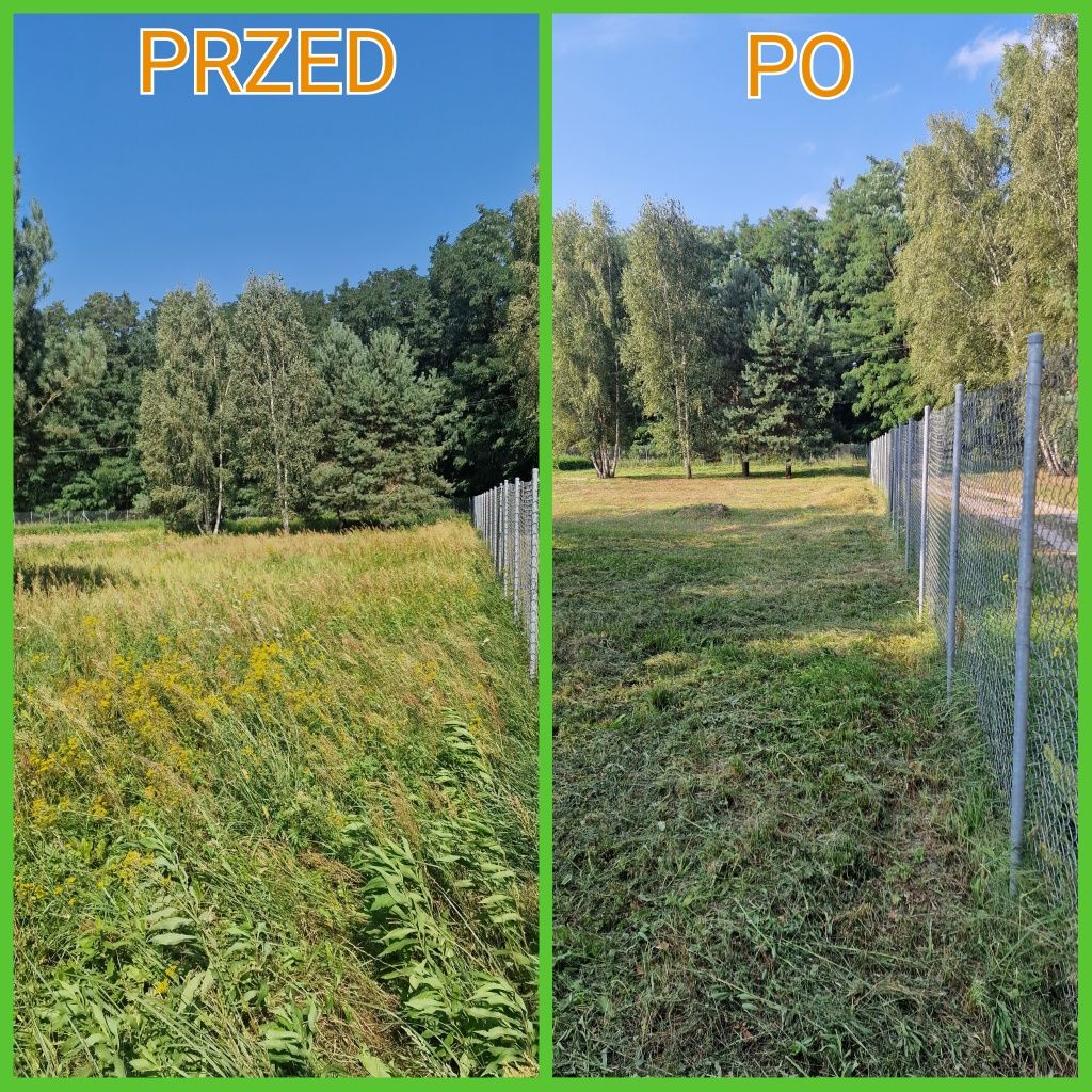 Prace ogrodowe – pomoc w ogrodzie