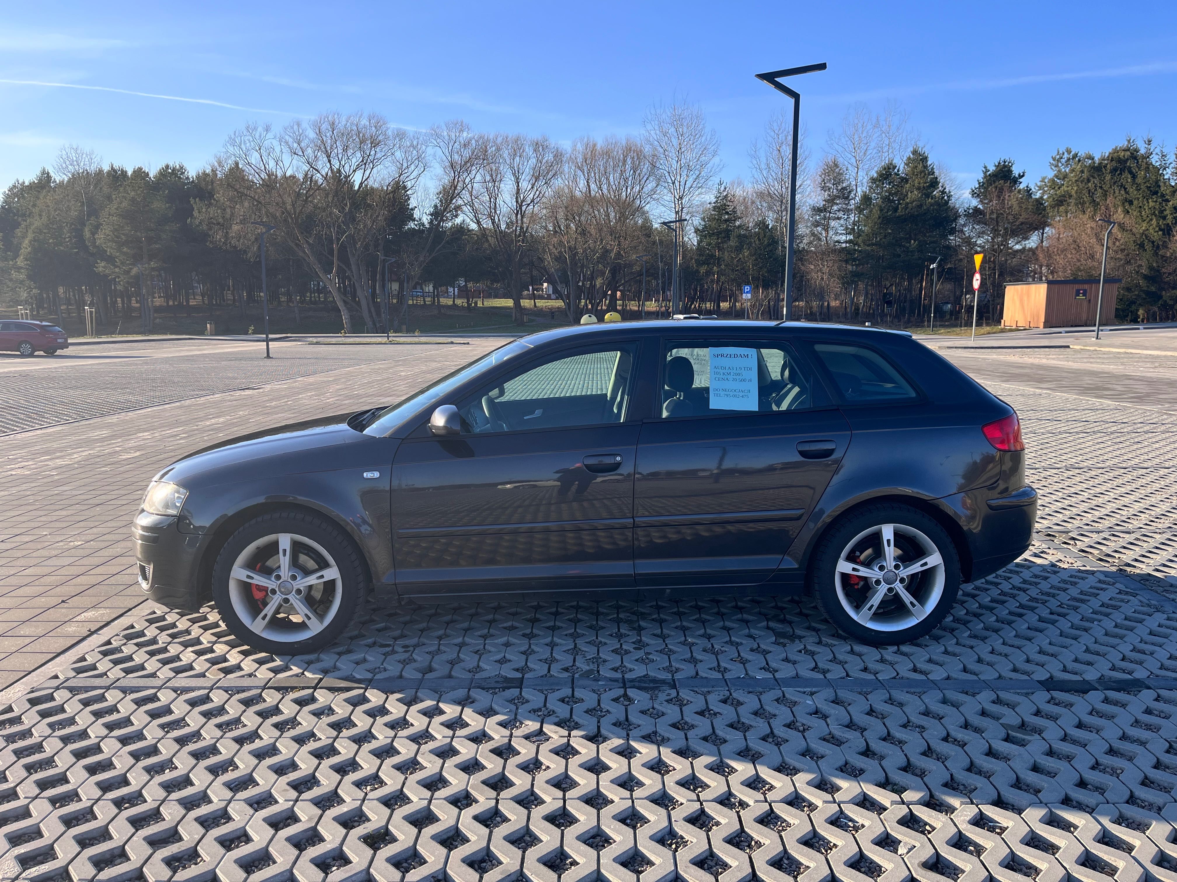 Audi A3 8P 1.9 TDI