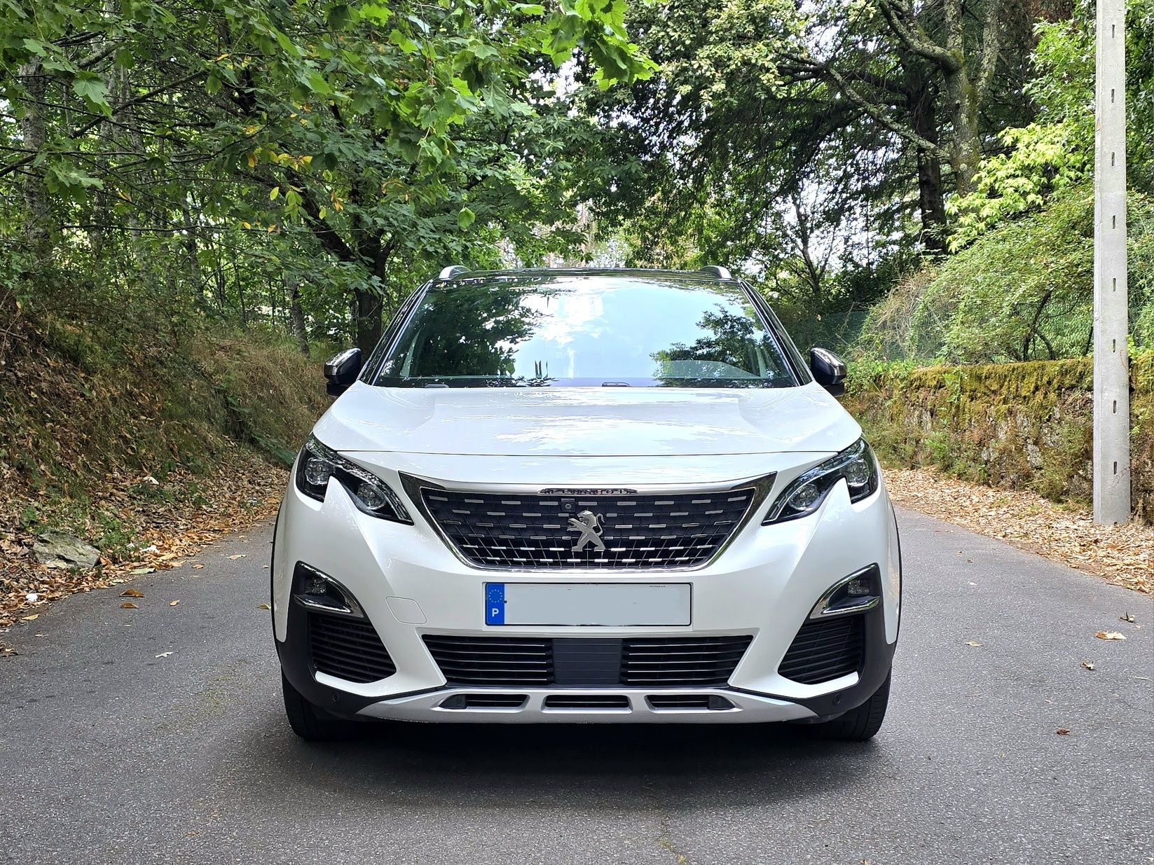 Peugeot 3008 2.0 Hdi GT