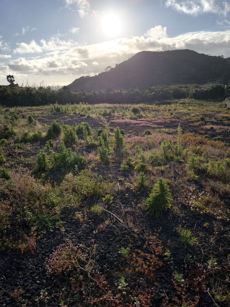 Terreno para venda