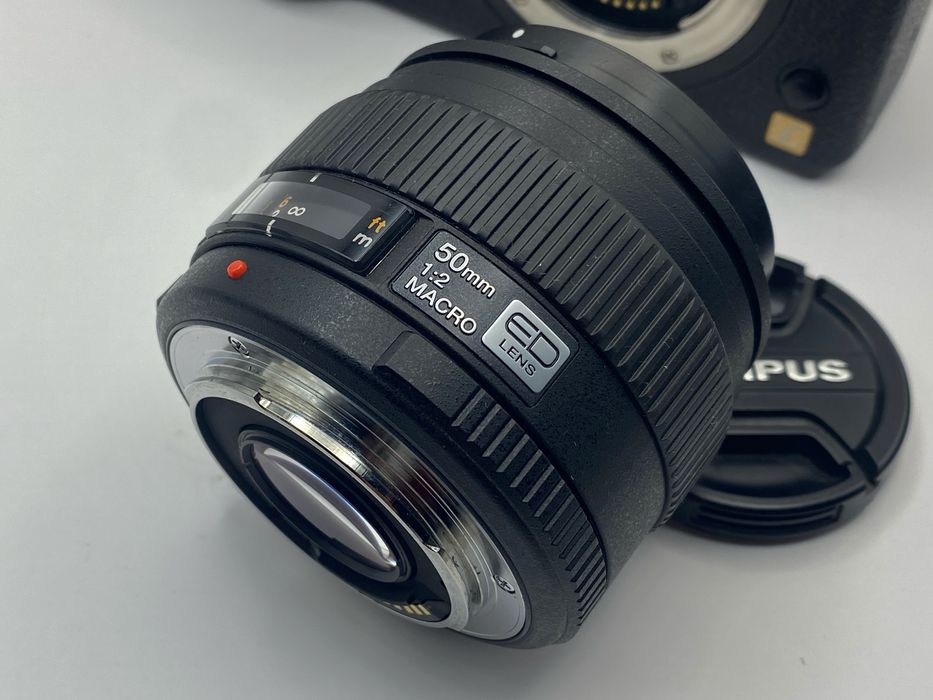 Panasonic L1 + Olympus 50/2 macro