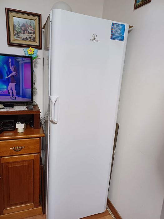 Arca vertical Indesit