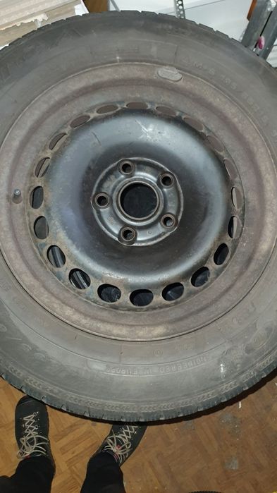 Koła zimowe Dębica Frigo 2 195/65/15 Passat b5