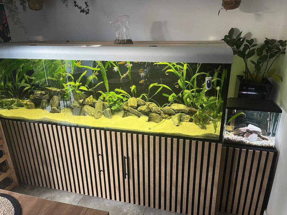 Akwarium 720l z całym wyposażeniem