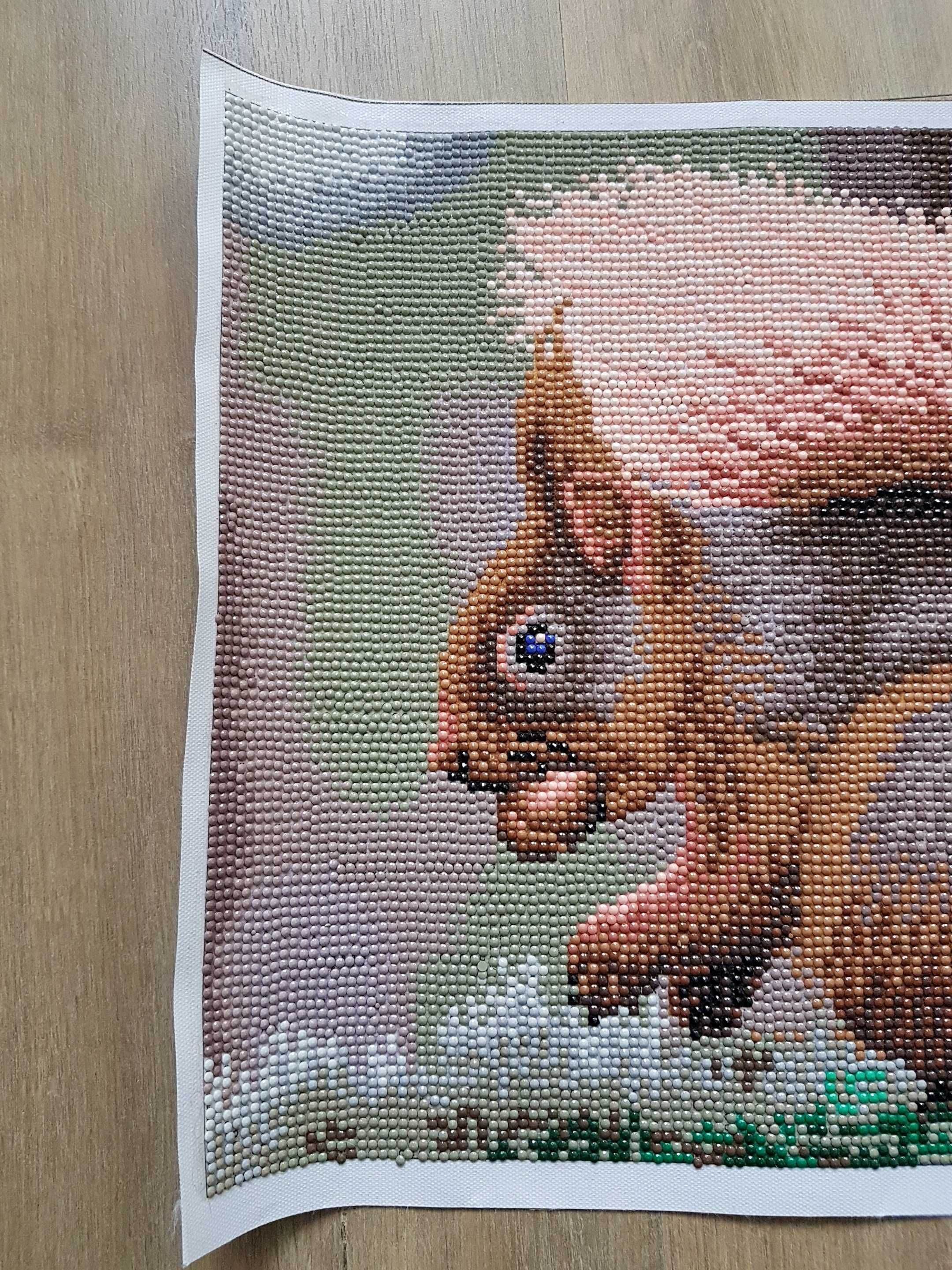 Gotowy obraz haft diamentowy Wiewiórka 30x40cm