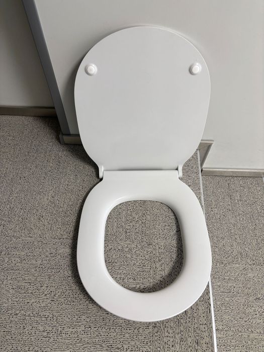 Toaleta sedes wiszący