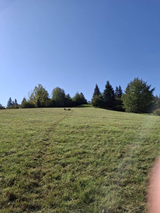 Карпати земельна ділянка