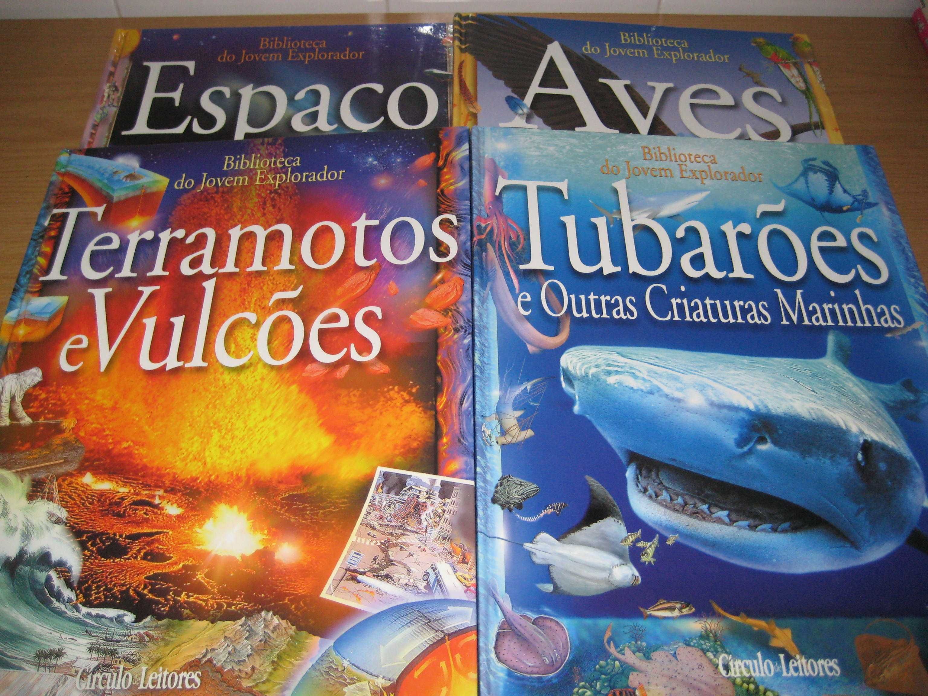 A minha biblioteca  livros diversos