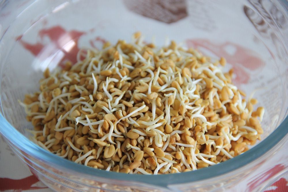Sementes Microvegetais / Brotos