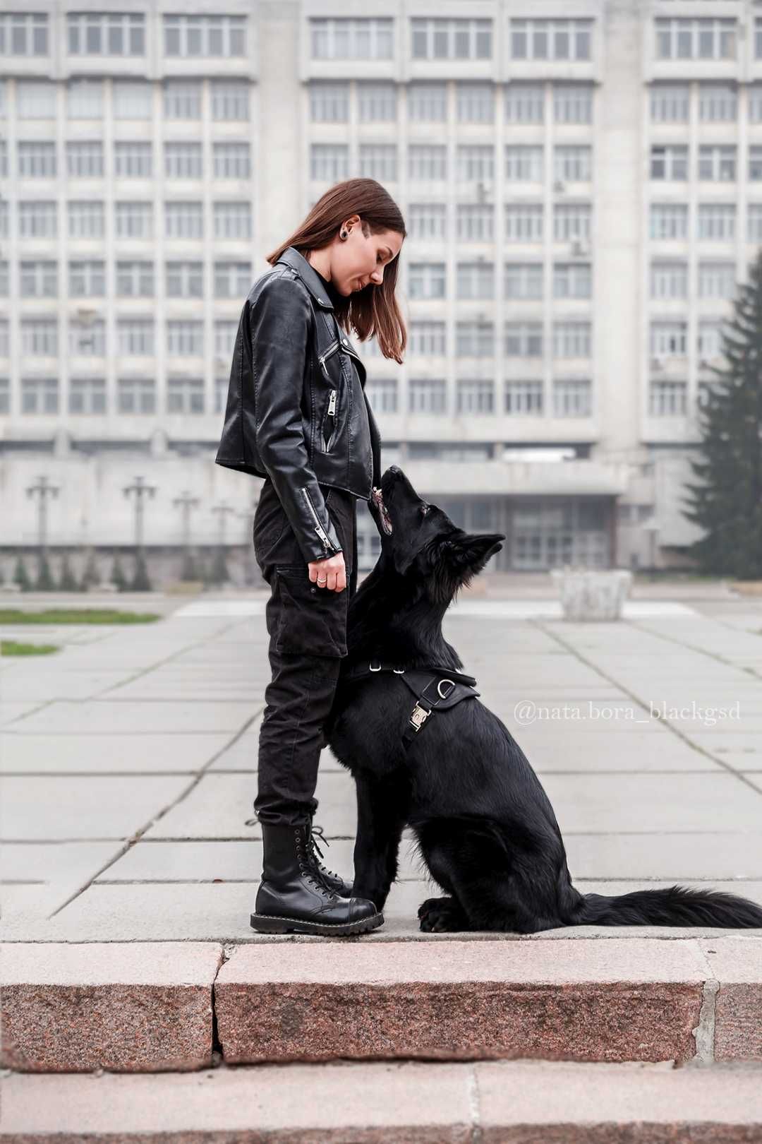 Кінолог, дресирування собак Київ