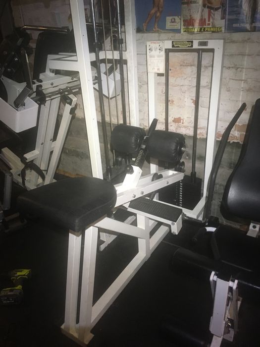 Lydkownica technogym isotonic brama obciazenie stos silownia