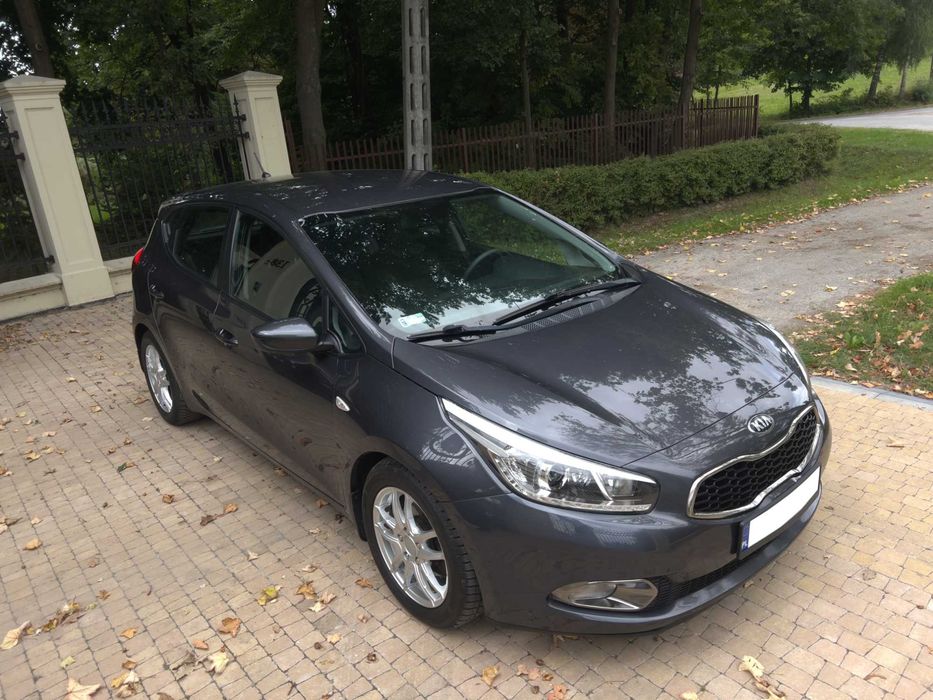 Kia Ceed 1.6 CRDI 128KM Hatchback Salon Polska Zadbany Alufelgi Szary