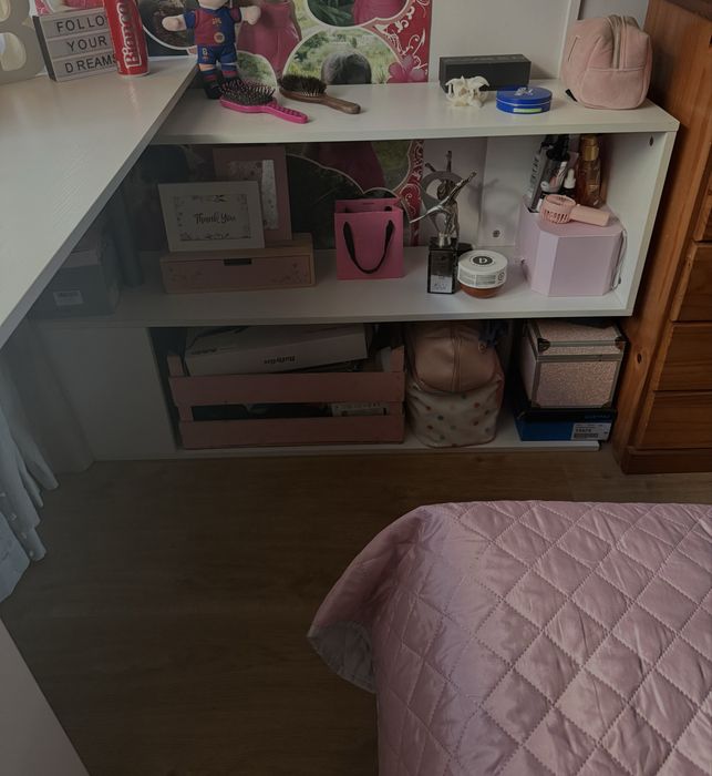secretaria como nova