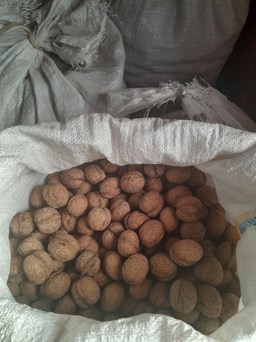 Продаётся грецкий орех
