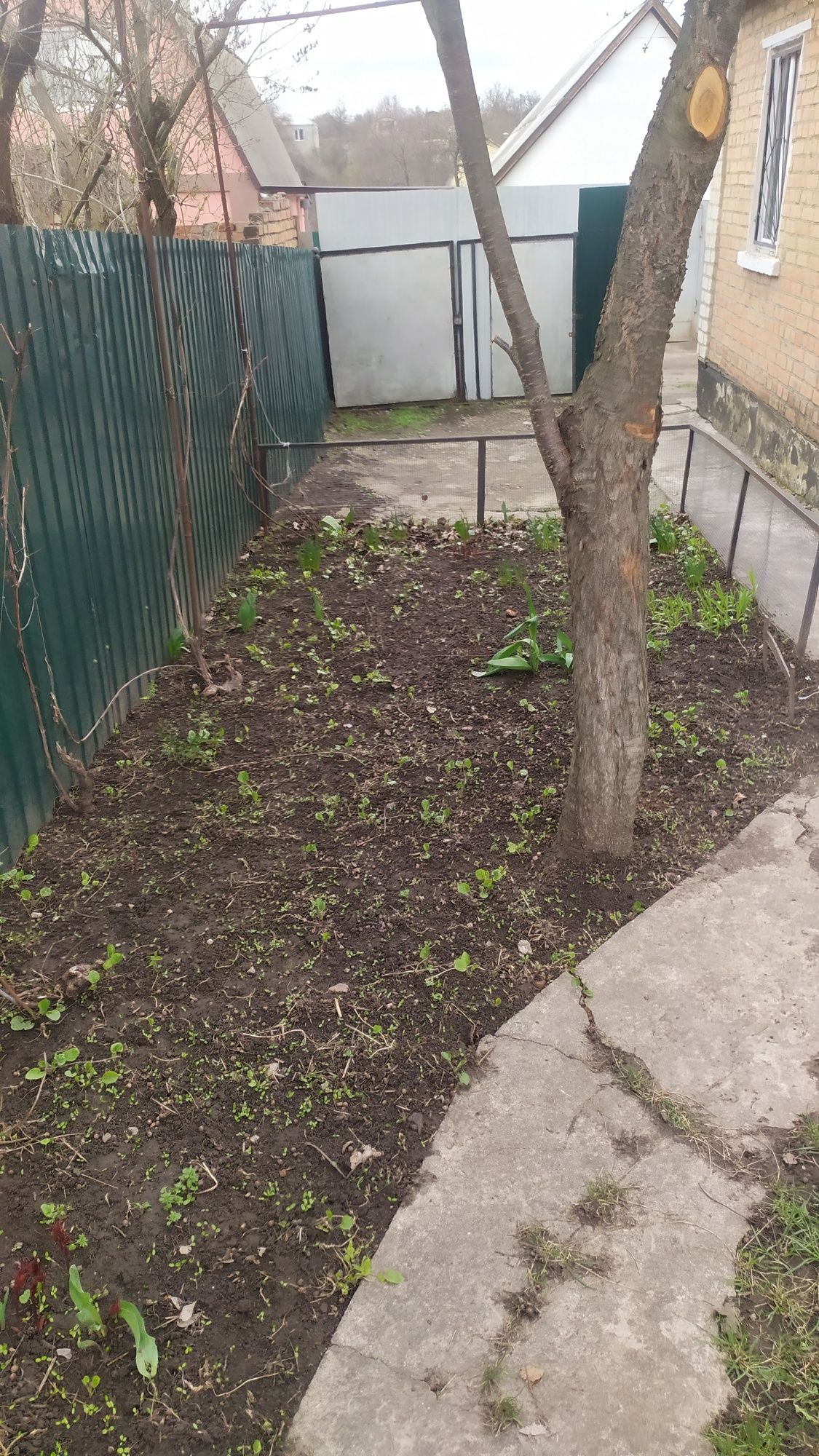 Продаж дачі Ст,,Колос''