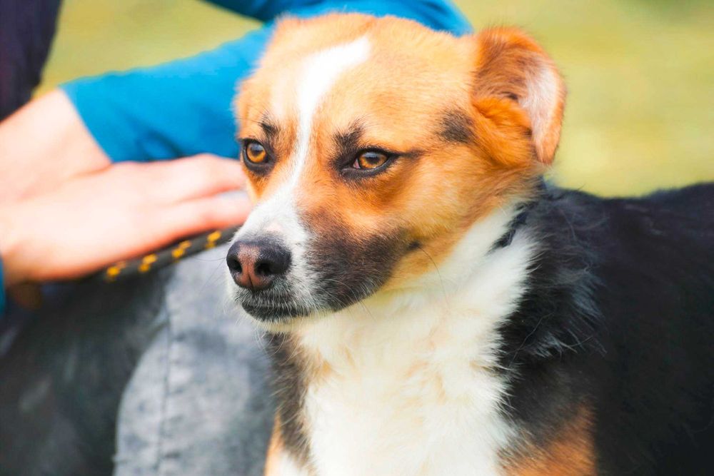 Salud jego urok i wdzięk mówi sam za siebie