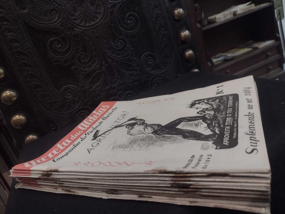 Gazeta das Aldeias Suplementos 25 unidades