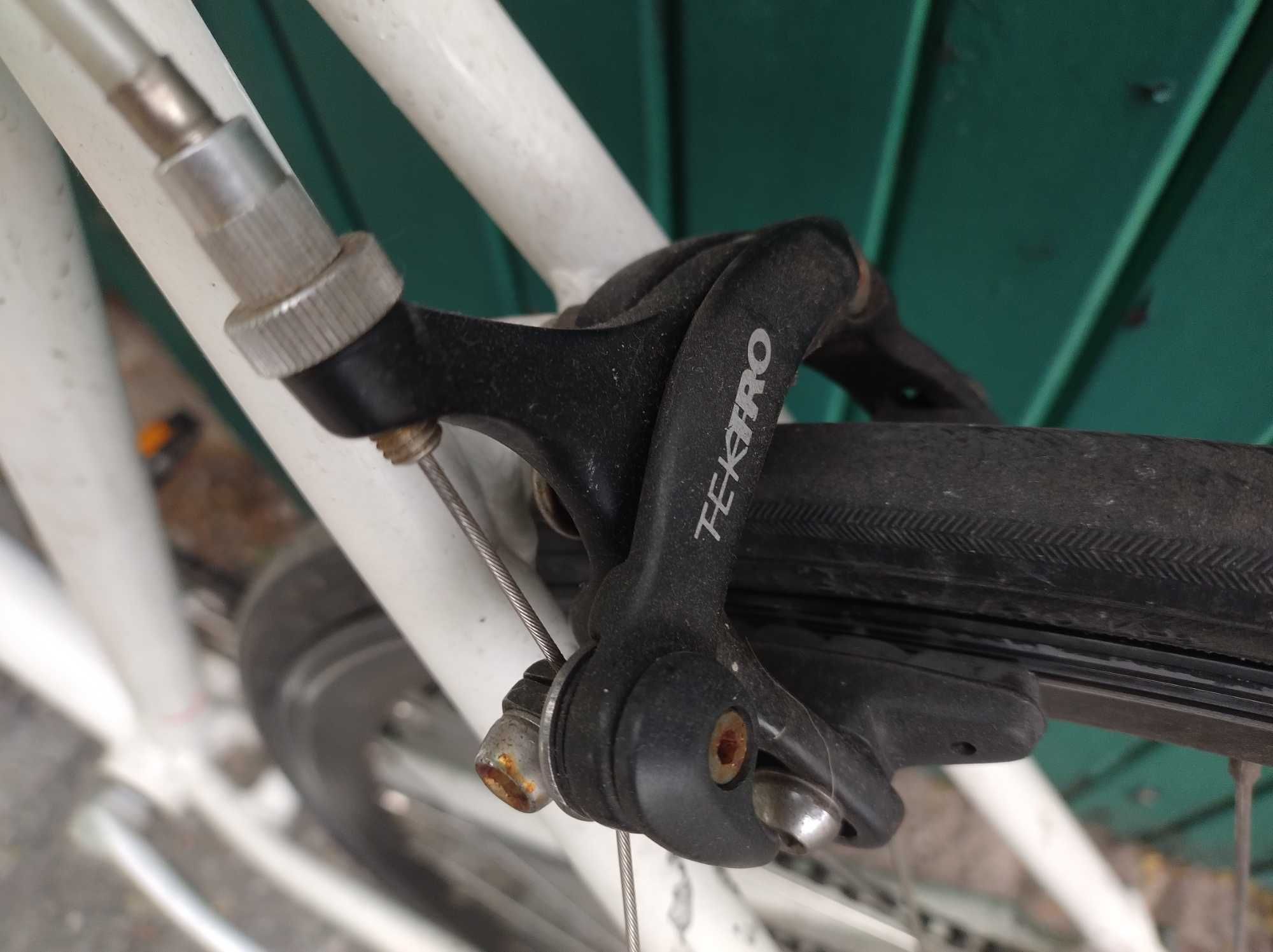 Rower ostre koło single speed fixed torowy Puma Biomega unikatowy