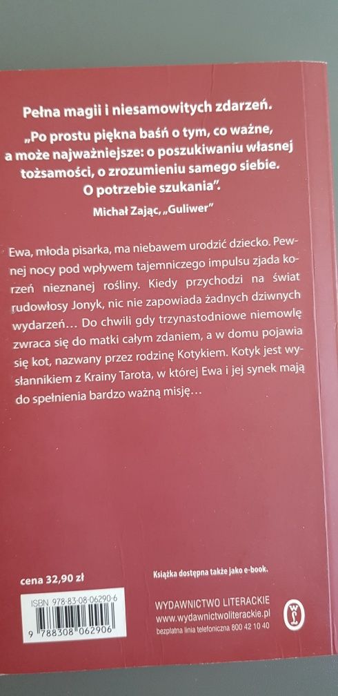 W krainie kota Dorota Terakowska książka