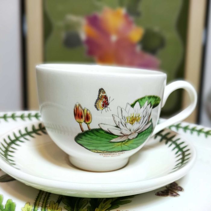 Portmeirion Botanic Garden.