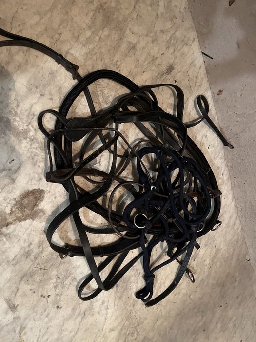 Zestaw wytoków, halter, wodze parciane