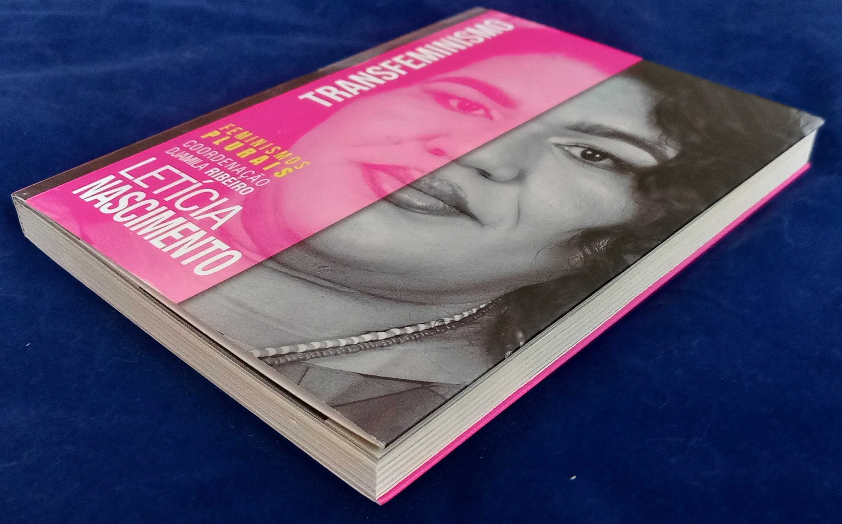 Col Feminismos Plurais, Interseccionalidade e Transfeminismo [Pr Conj]
