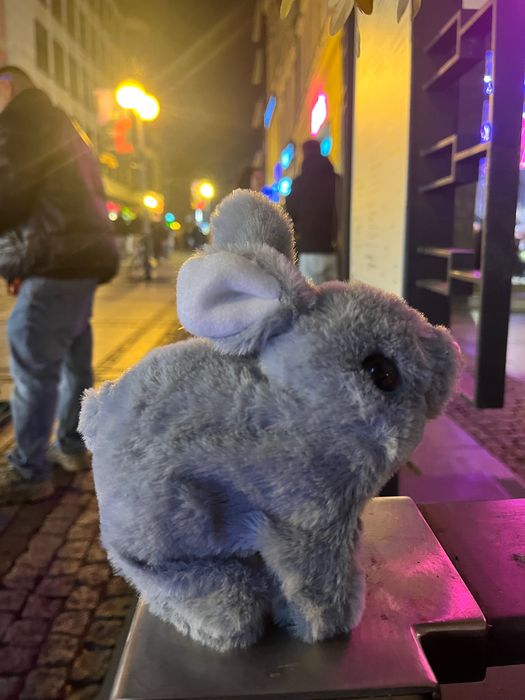 Chodzikowe Przytulaki