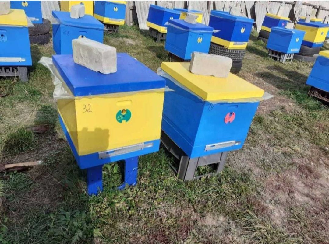 Обмін Вулик ППС монолітні корпуса на бджолопродукцію та інше...