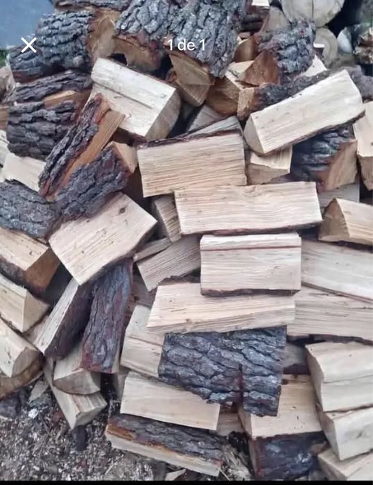 Vendo lenha seca