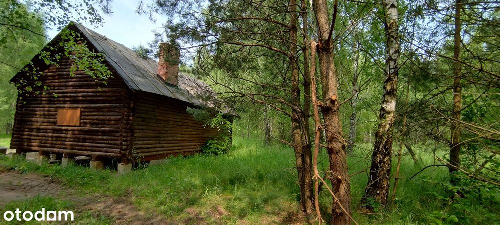 Urokliwa działka z domkiem na Kaszubach las staw cisza tylko 30 zł/m2