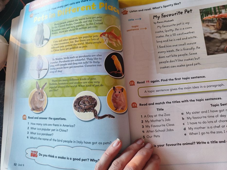 Big English Pupil's book 3 podręcznik