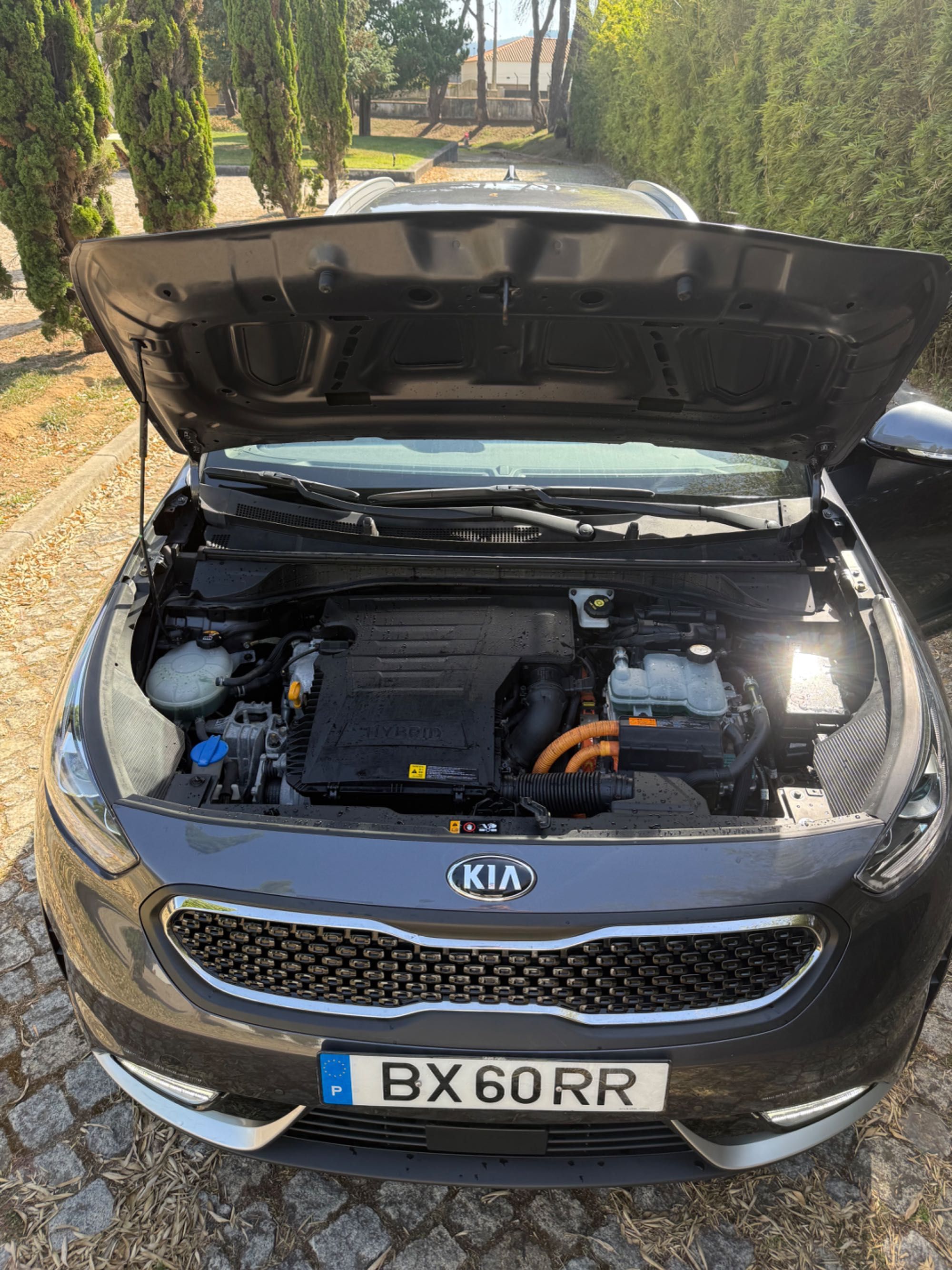 Kia Niro Gasolina híbrido