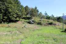 Terreno de Construção  - Oliveira. Arcos de Valdevez
