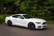 Wynajem aut wypożyczalnia Mustang coupé 317KM PROMOCJA 30dni 5900!