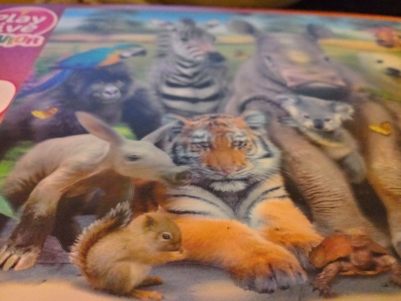 Puzzle trójwymiar ZOO + Leśne plotki + Kalambury