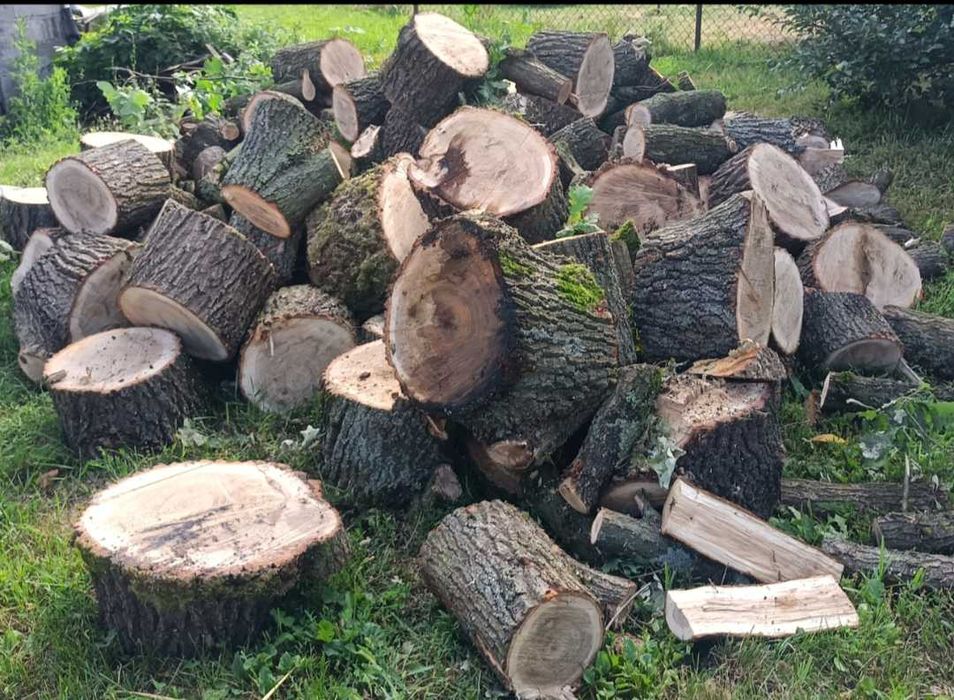 Opał grab dąb brzoza olszyna sosna