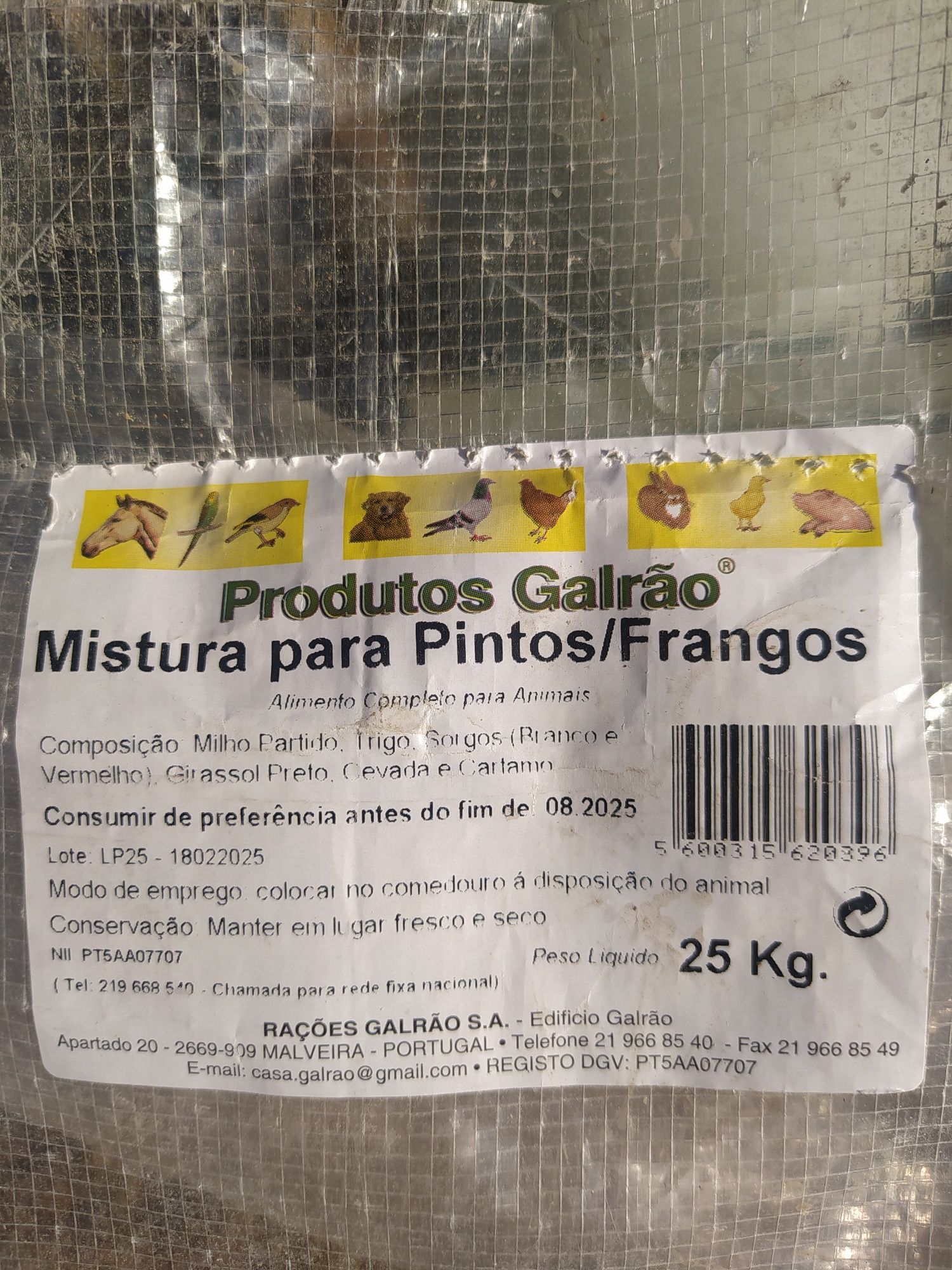 Ovos M/L, Galinhas Caseiras, Ar livre Alimentação saudável