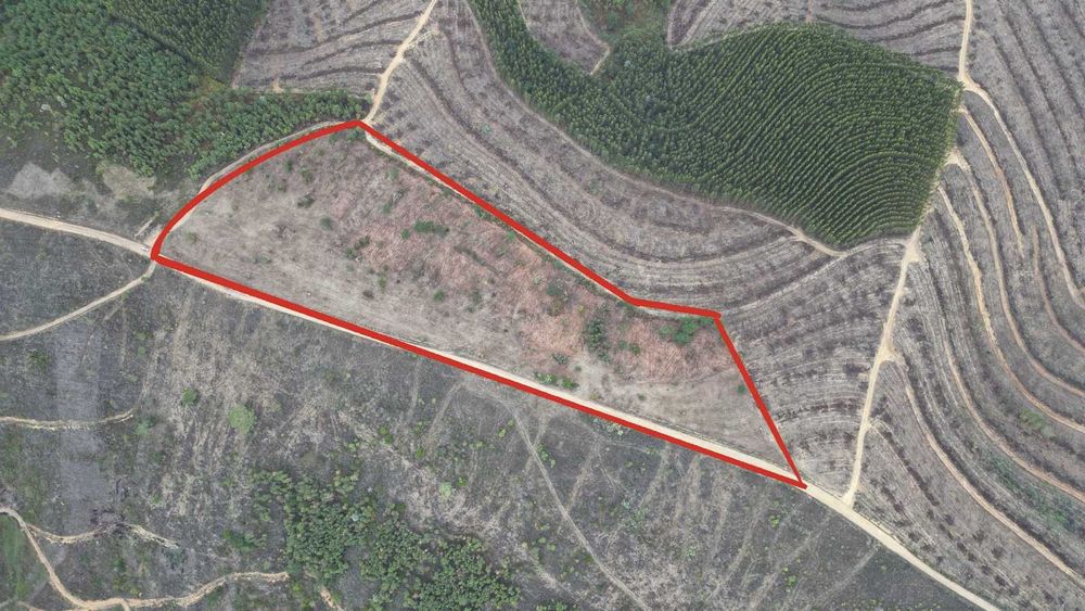 Oportunidade! Terreno Legalizado com Potencial de Construção – Arganil