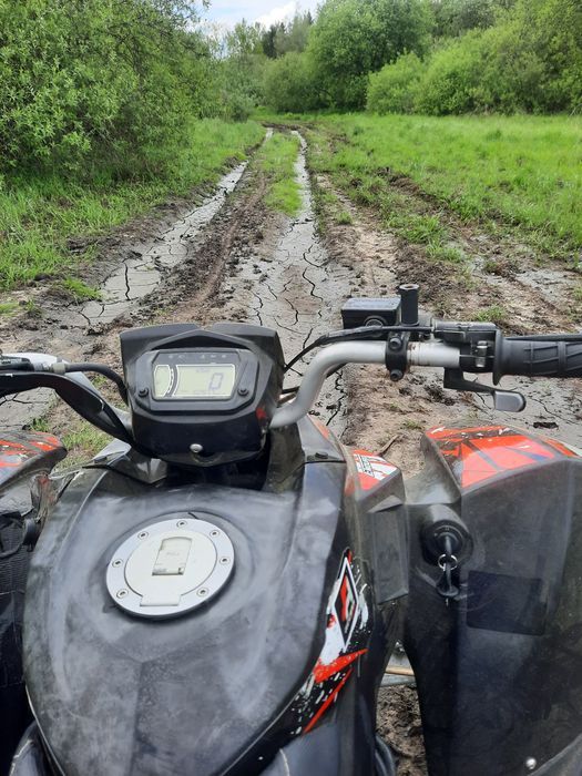 Quad Access lucky Star 50cm