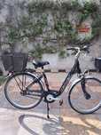 Rower Carver 26" 7 bieg Nexus