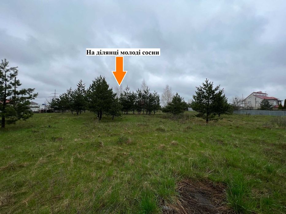 Липовий Скиток продаж ділянки 15 соток в оточенні лісу і озер